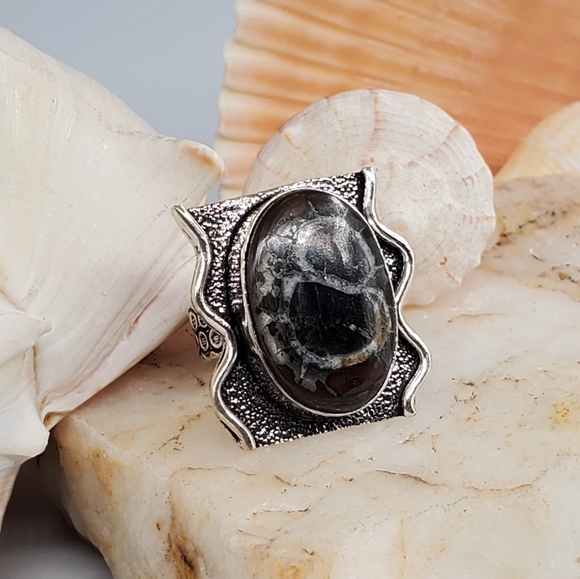 Natural Picasso Fossil Jasper Silver Ring - Picture 1 of 6